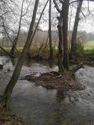 Von Nierenhof um den Hölterberg