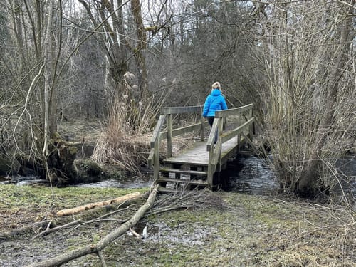 Moorlehrpfad Freimoos, Amerang & Halfing