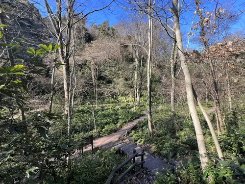 山の流れ 山の流れ