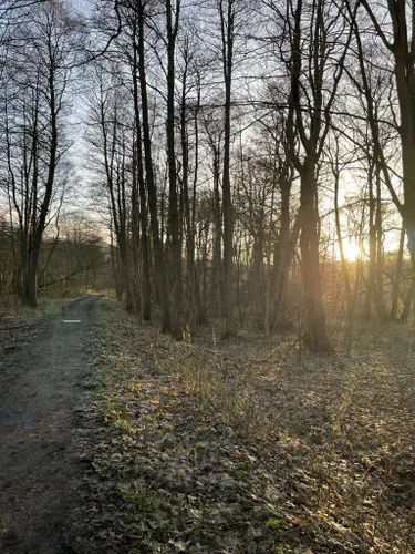 Best Beach Trails in Jægersborg Dyrehave | AllTrails