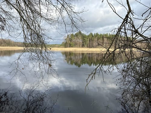 Südheide 'Reine Luft zu sehen' W18k (kurze Tour)