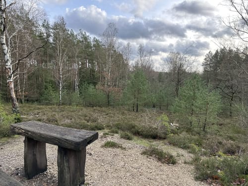 Südheide 'Reine Luft zu sehen' W18k (kurze Tour)