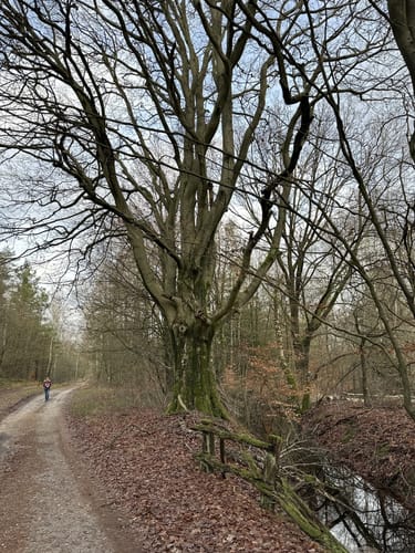 Südheide 'Reine Luft zu sehen' W18k (kurze Tour)