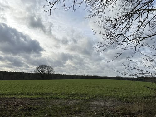 Südheide 'Reine Luft zu sehen' W18k (kurze Tour)