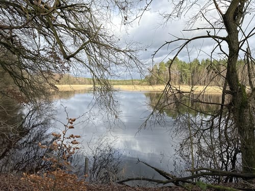 Südheide 'Reine Luft zu sehen' W18k (kurze Tour)