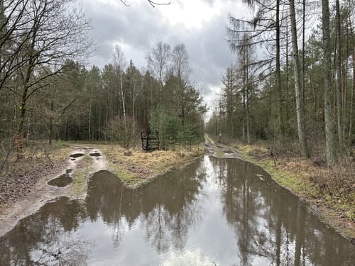 Südheide 'Reine Luft zu sehen' W18k (kurze Tour)