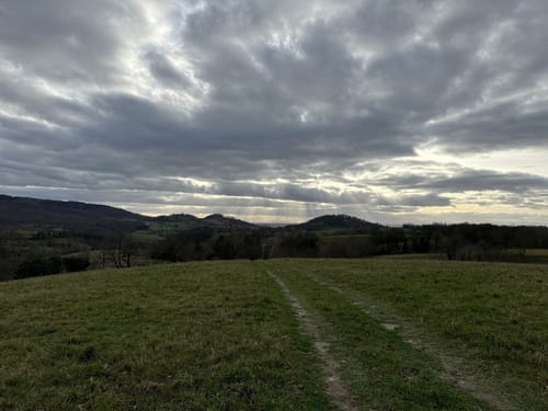 Bensheim: Hohlwege Lehrpfad