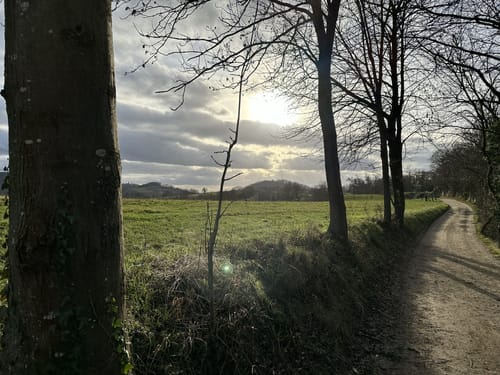 Bensheim: Hohlwege Lehrpfad