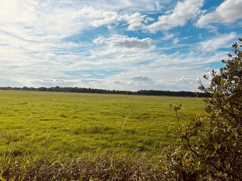 Um den Junkernfeldsee ab Wühlenburg