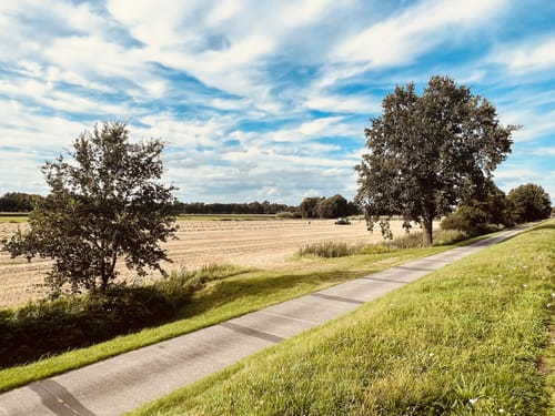 Um den Junkernfeldsee ab Wühlenburg