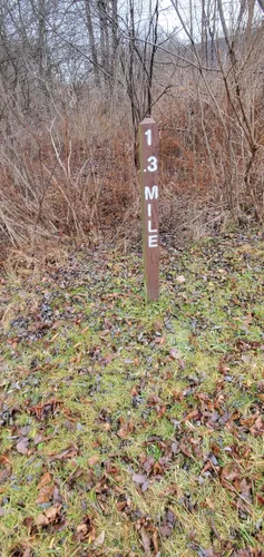 Northern Escapes: 5 Stunning Hiking Trails in Bradford – Pennsylvania