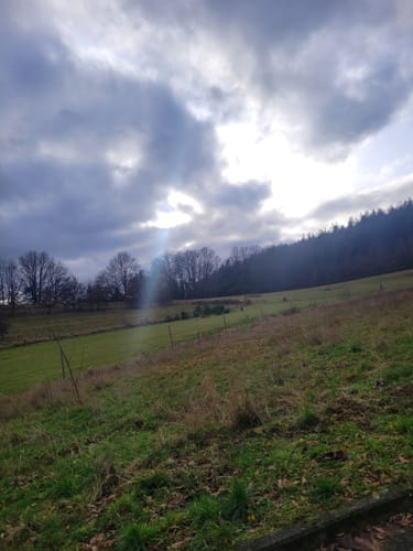 Waldwege bei Bechhofen