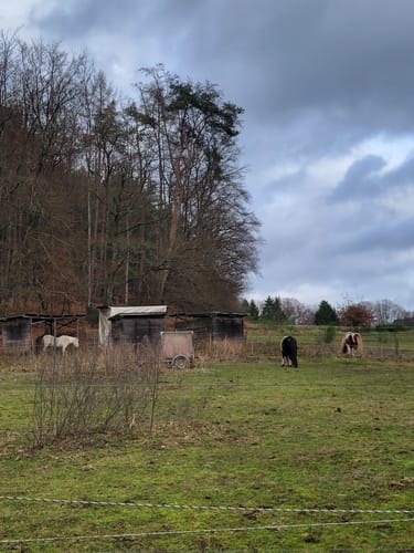 Waldwege bei Bechhofen