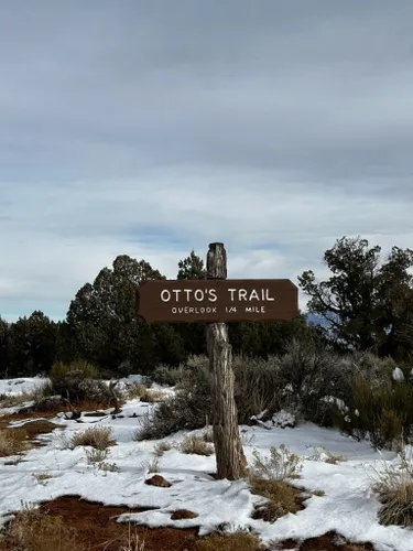 se permiten perros en los parques estatales de colorado