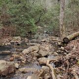 uwharrie mtb trails