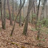 uwharrie mtb trails