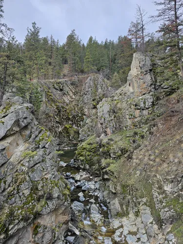 Best Hikes and Trails in Fintry Provincial Park | AllTrails