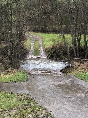 Mettendorf (Naturpark Südeifel Wanderweg Nr. 50)