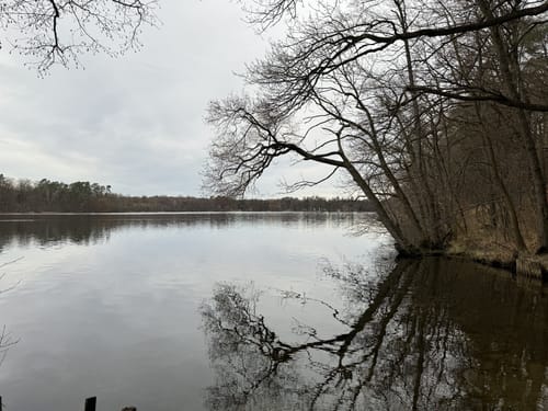 Bötzsee Rundweg