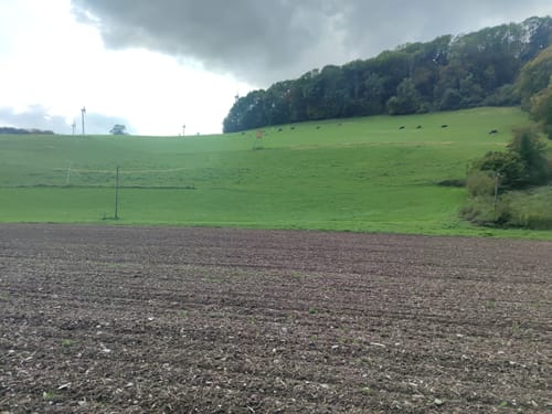 Viaduktwanderweg um Altenbeken