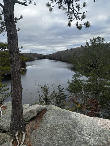 Long pond 2024 woods trail