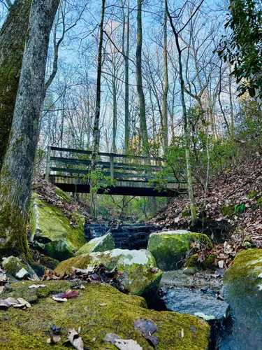 cloudland canyon mountain biking