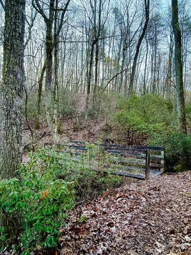 cloudland canyon mountain biking