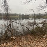 Hessian Lake Loop, New York - 722 Reviews, Map | AllTrails