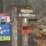 Hessian Lake Loop, New York - 722 Reviews, Map | AllTrails