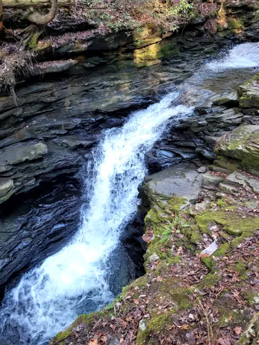 Best 10 Hiking Trails in Grundy Forest State Natural Area | AllTrails