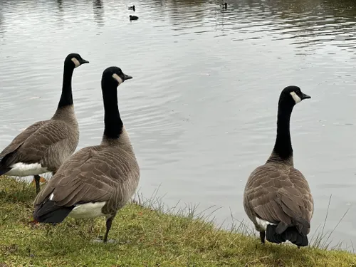 Best Hikes and Trails in Santee Lakes Recreation Preserve