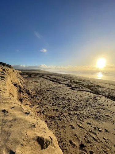 Best Hikes and Trails in Oceano Dunes State Vehicular Recreation Area ...