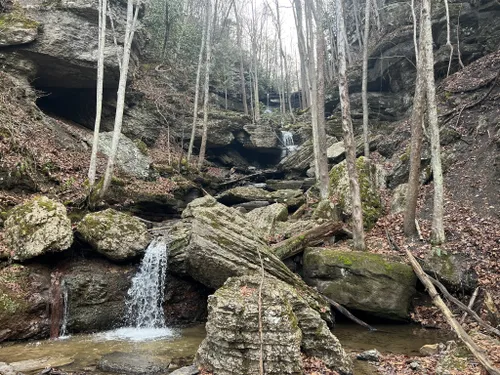 Best Hikes and Trails in Brush Creek Preserve | AllTrails