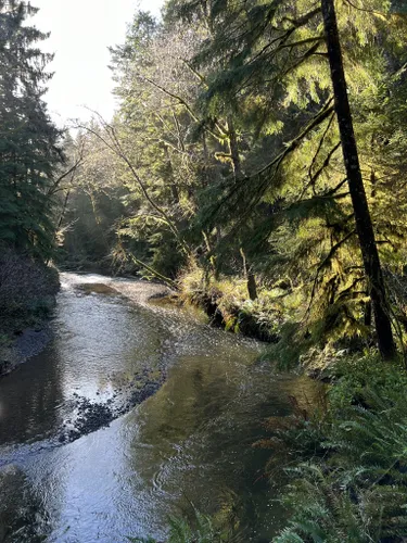 Best Hikes and Trails in Cannon Beach | AllTrails