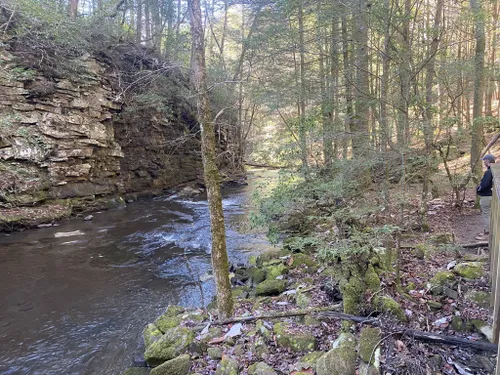 Best Hikes And Trails In Grundy Forest State Natural Area 