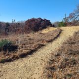 Eagle Mountain Lake Park Trail, Texas - 2,664 Reviews, Map | AllTrails