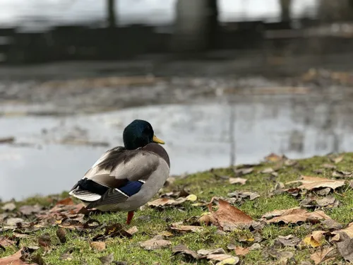 Best Hikes and Trails in Santee Lakes Recreation Preserve