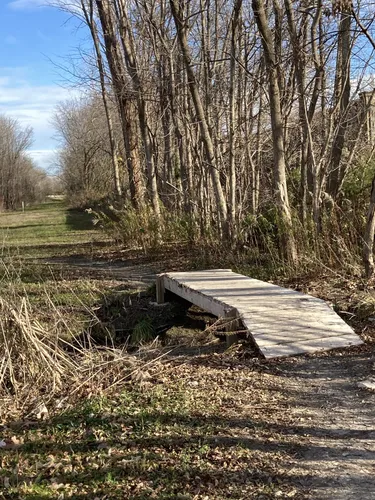 Squabble creek mountain online bike trail