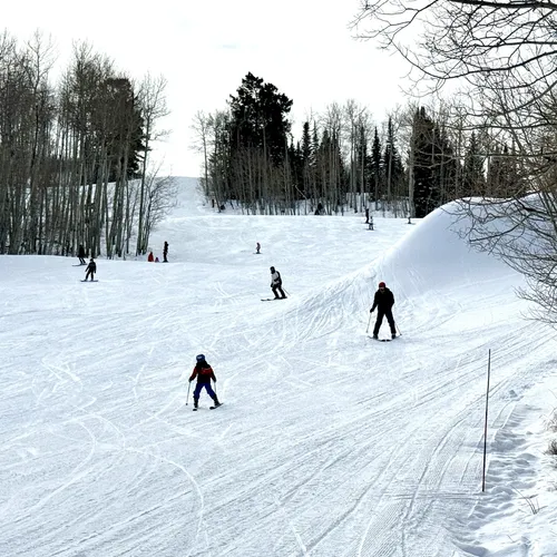 Best Snowshoeing Trails in Woody Creek AllTrails