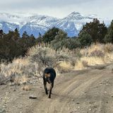 Jumbo Grade Trail, Nevada - 127 Reviews, Map | AllTrails