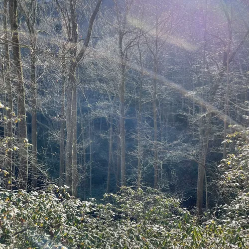 Best Hikes and Trails in Blue Wall Preserve AllTrails