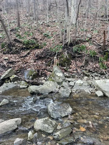 Best Hikes and Trails in Musconetcong Gorge Preserve | AllTrails