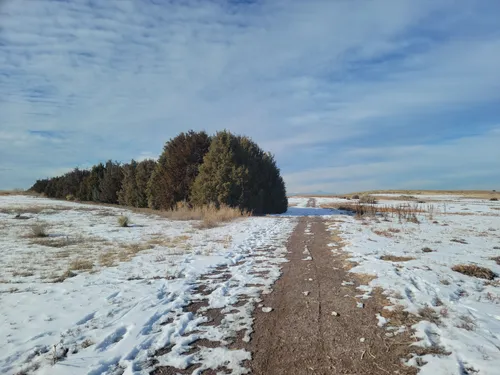 se permiten perros en los parques estatales de colorado