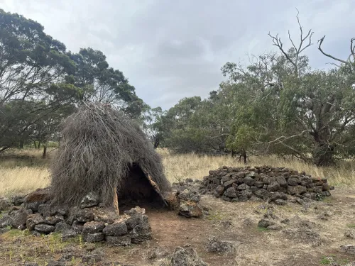 Best Hikes and Trails in Tyrendarra Indigenous Protected Area | AllTrails