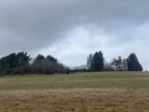Rund um den Absinkweiher Hahnwiese