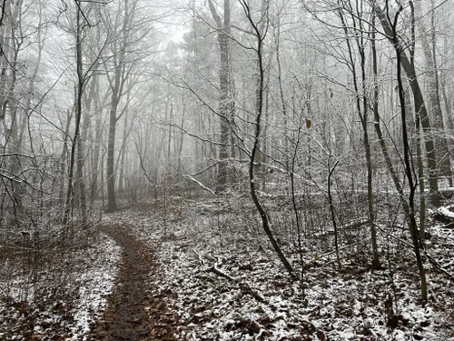 Best Hikes and Trails in Geisinger Stewardship Forest | AllTrails