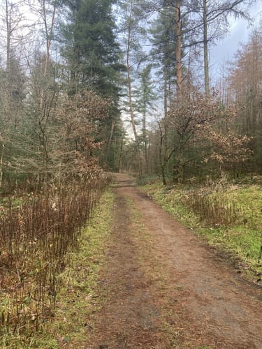 Haardtrunde