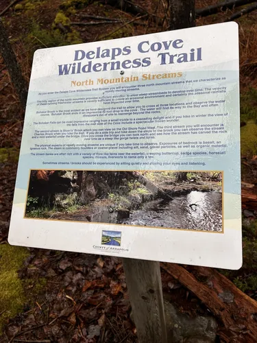 Delaps cove wilderness discount trail