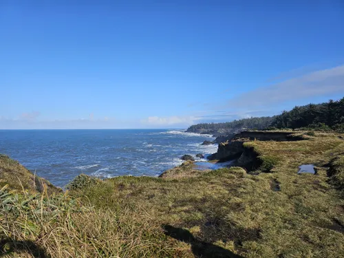 Best Hikes and Trails in Cape Arago State Park | AllTrails