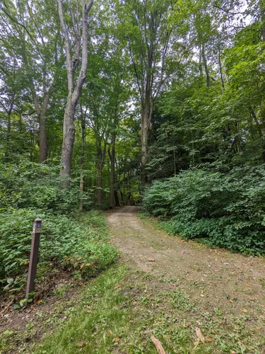 Best Hikes and Trails in Indian Point Park | AllTrails